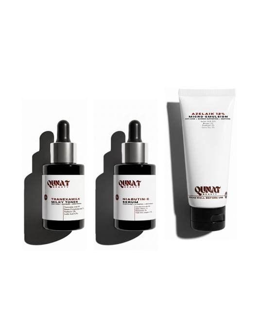 The Pigment Protocol Essentials
